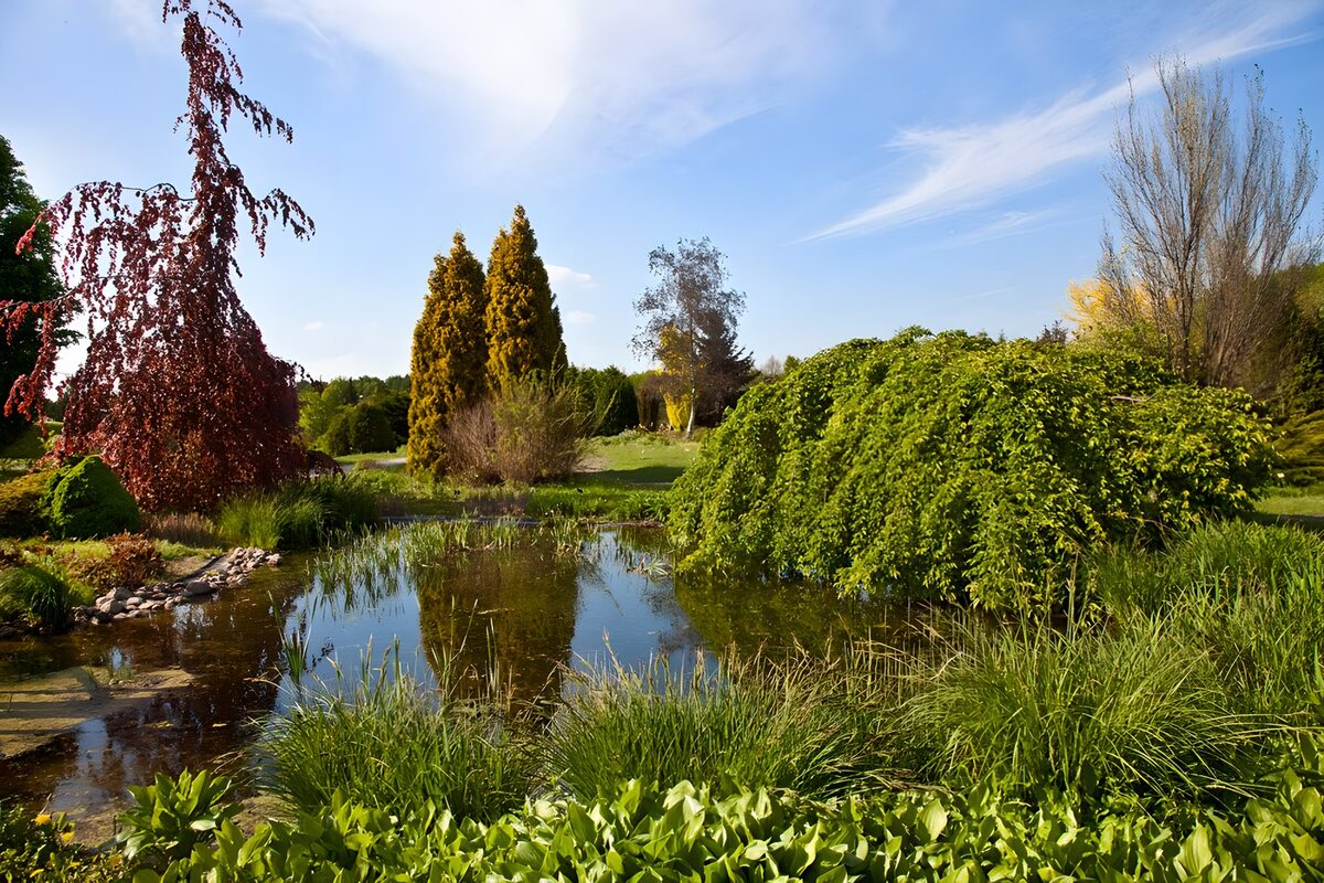 Gartenteich zwischen Grün und Burgunderrot