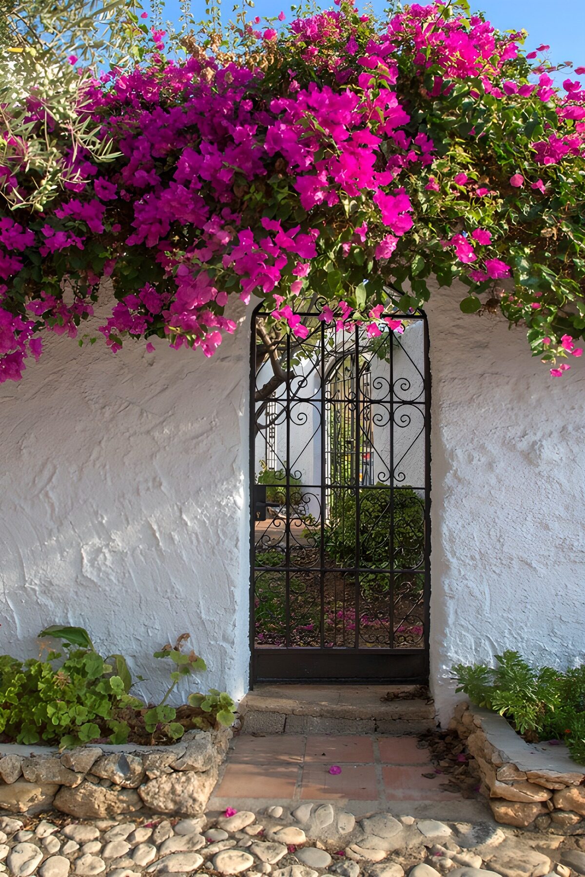 Gartentor unter pinker Bougainvillea