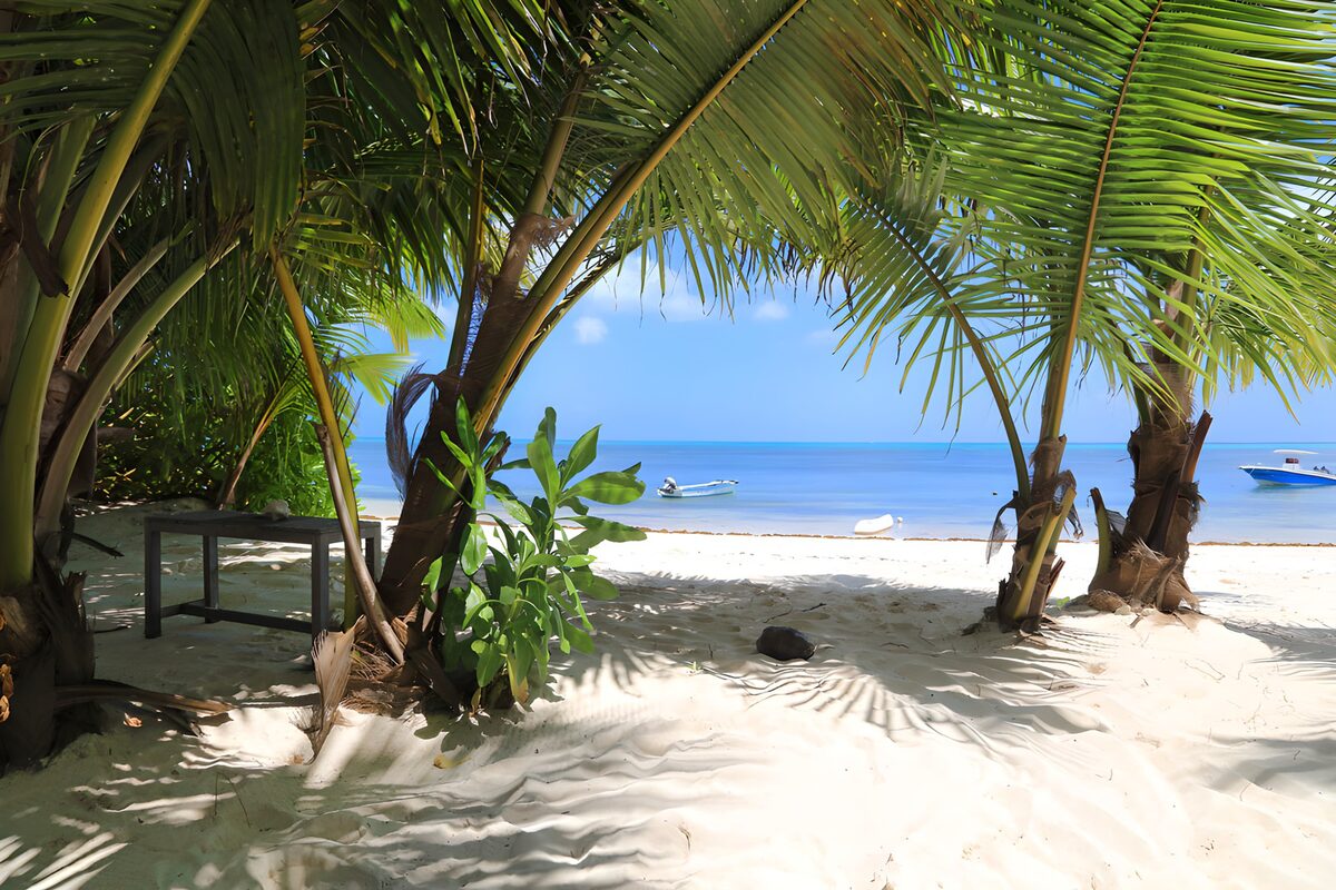 Tropenstrand mit Palmen und stillem Meer