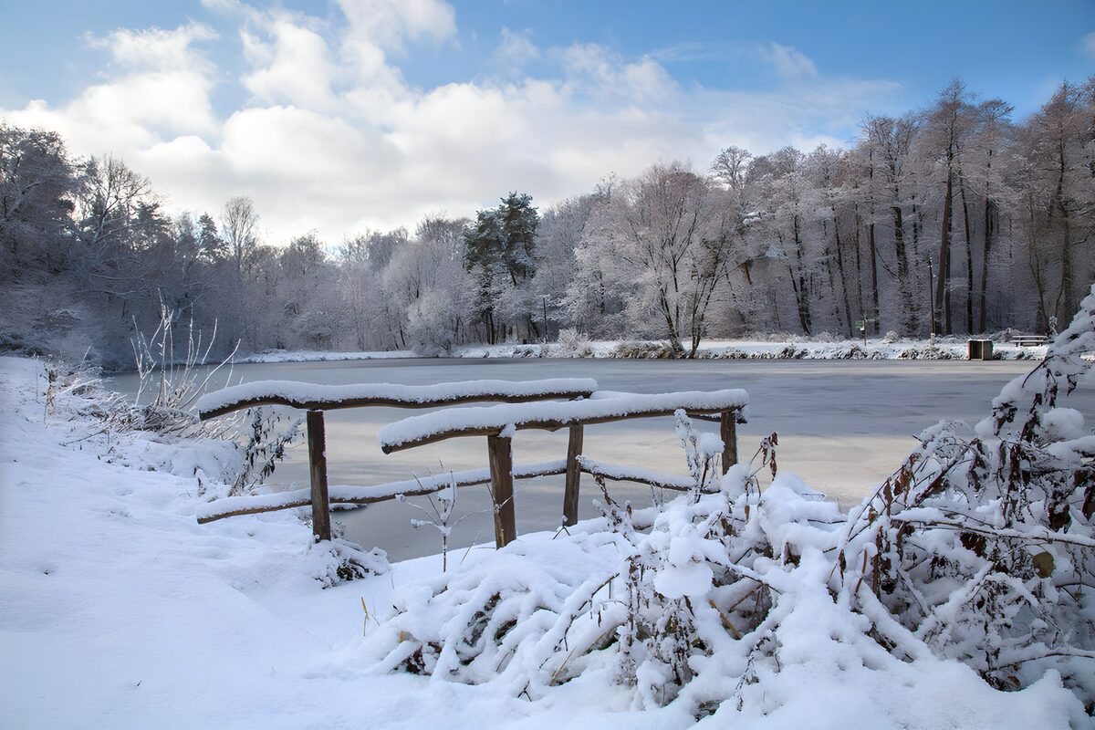 Holzgeländer am zugefrorenen Teich