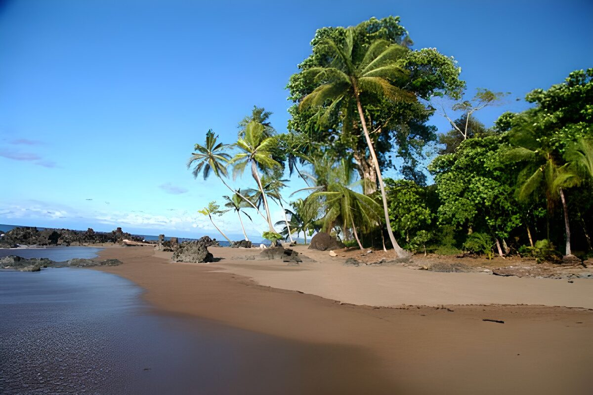 Palmen und Felsen am stillen Tropenstrand