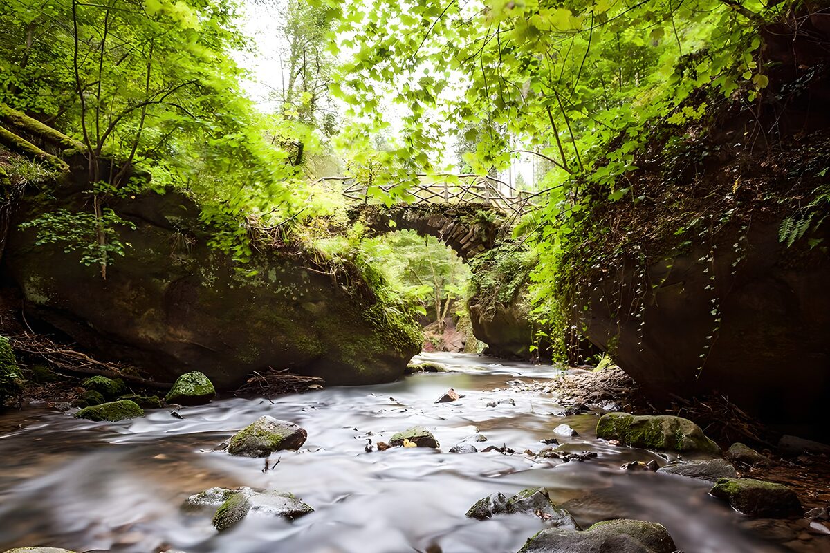 Steinbrücke über dem schattigen Waldbach