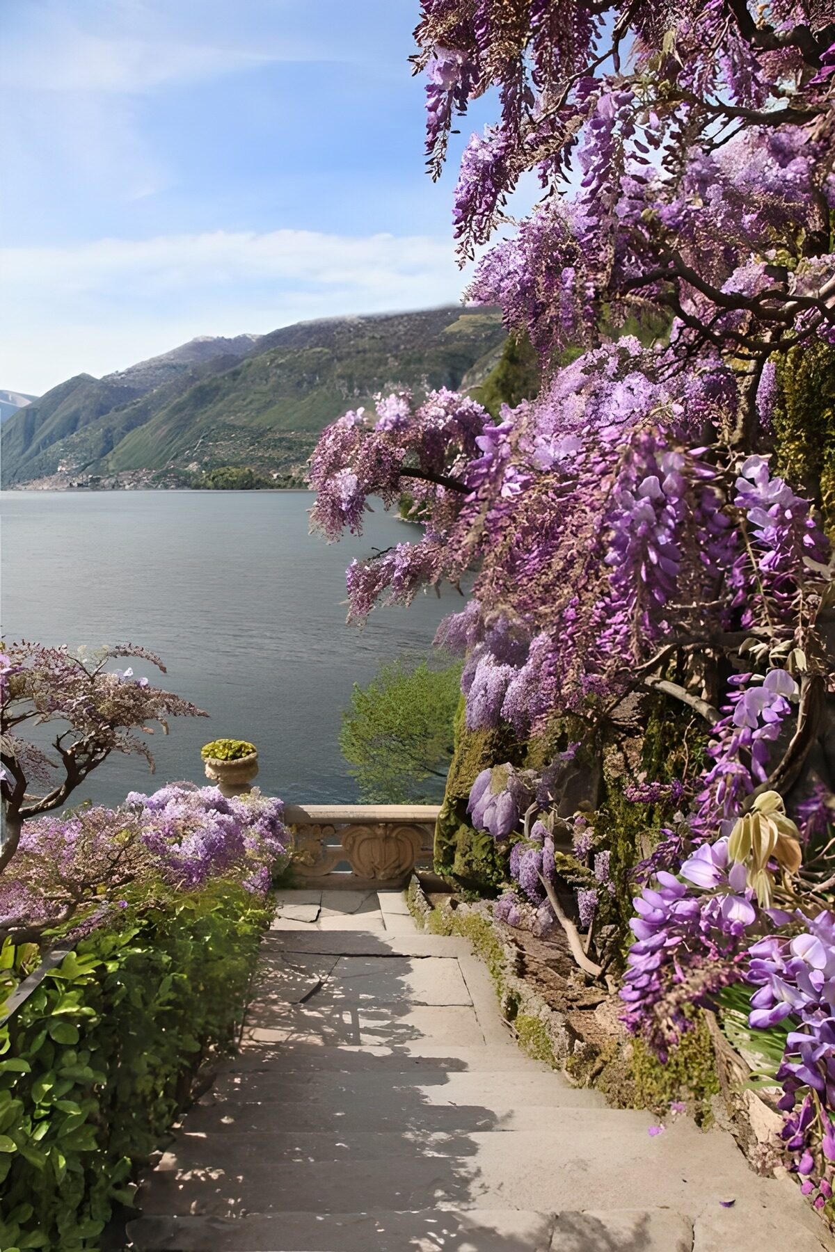 Ein See, von Blauregen eingerahmt