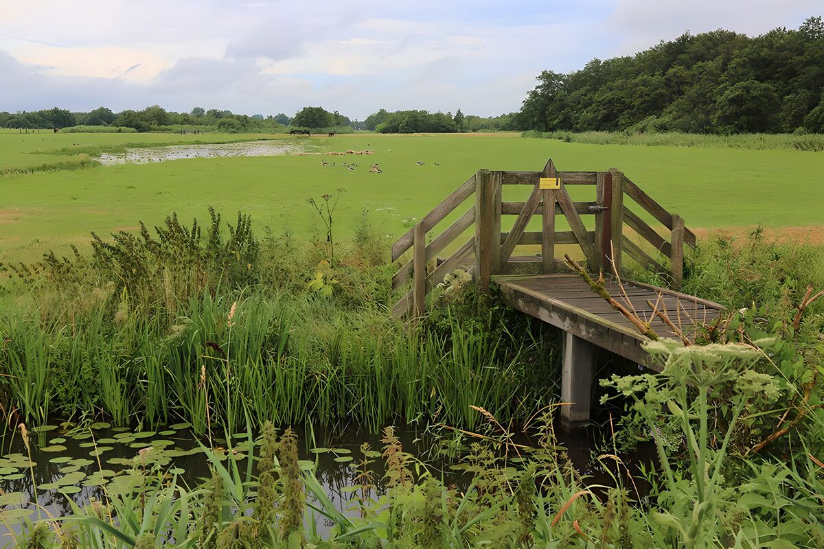 Holzbrücke mit Tor am stillen Wasser
