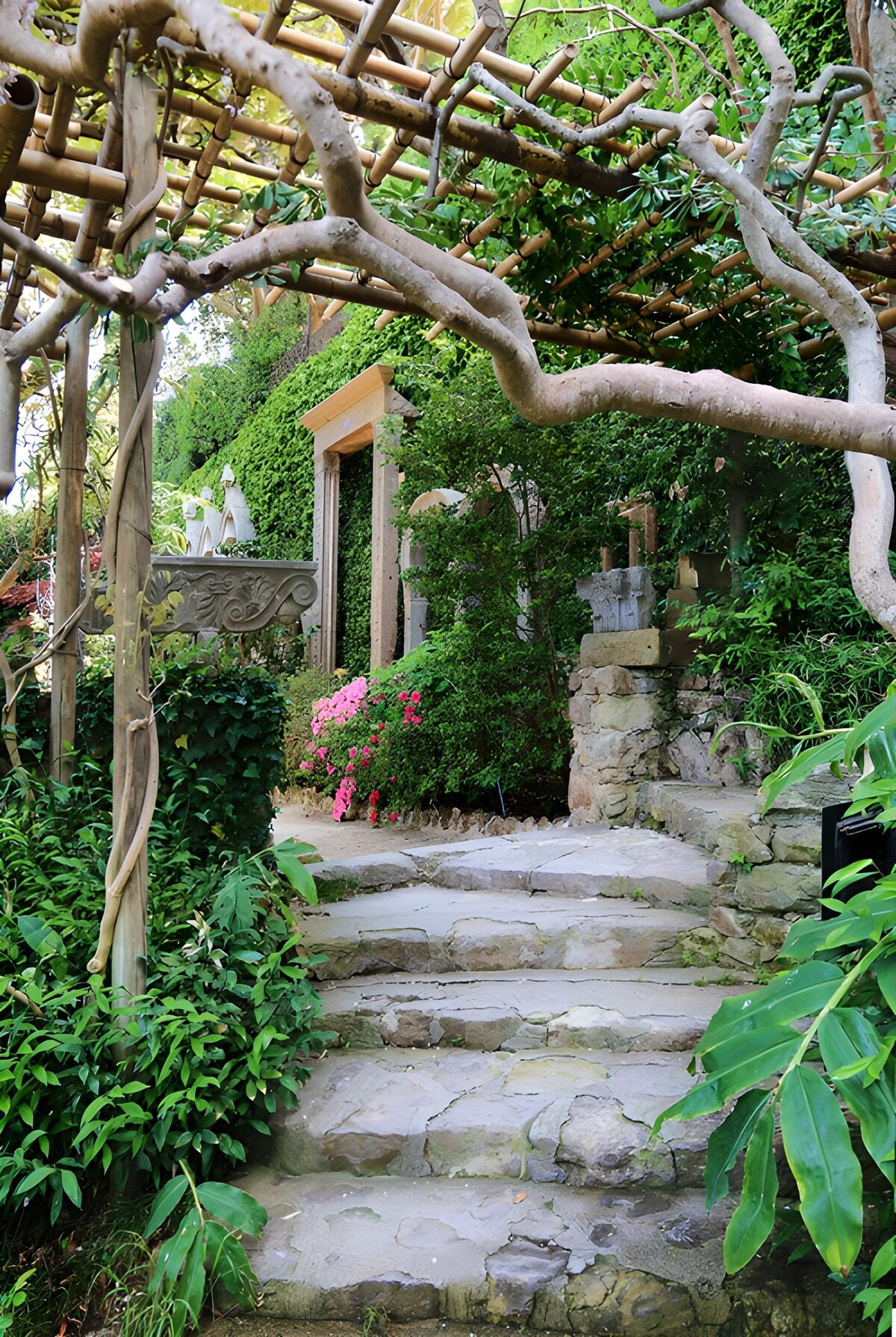 Steintreppe im dicht bewachsenen Garten
