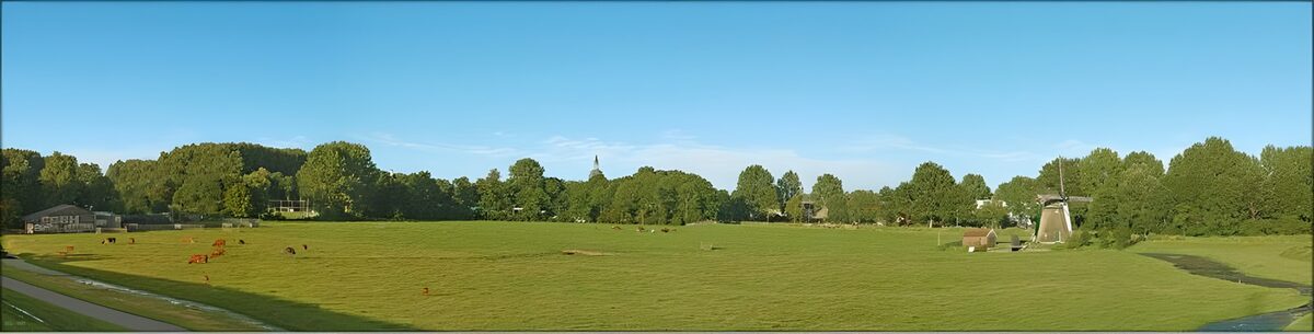 Windmühle und Kühe auf grüner Weide