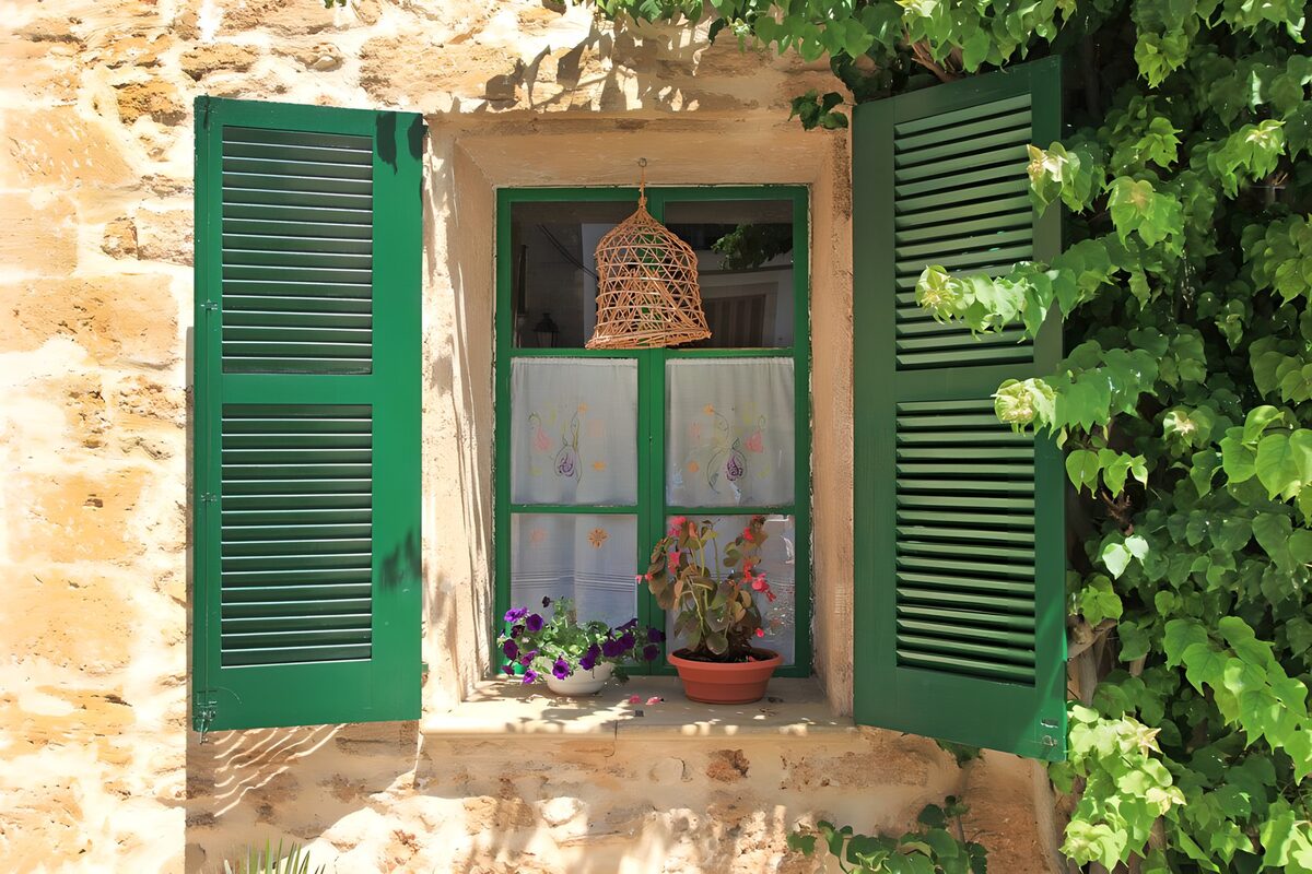 Grüne Fensterläden mit Blumen in der Sonne