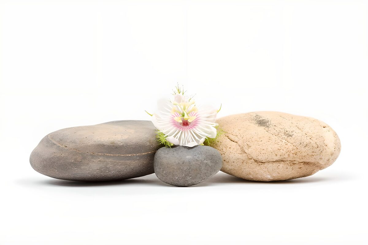 Drei Steine und eine Passionsblume in Weiß