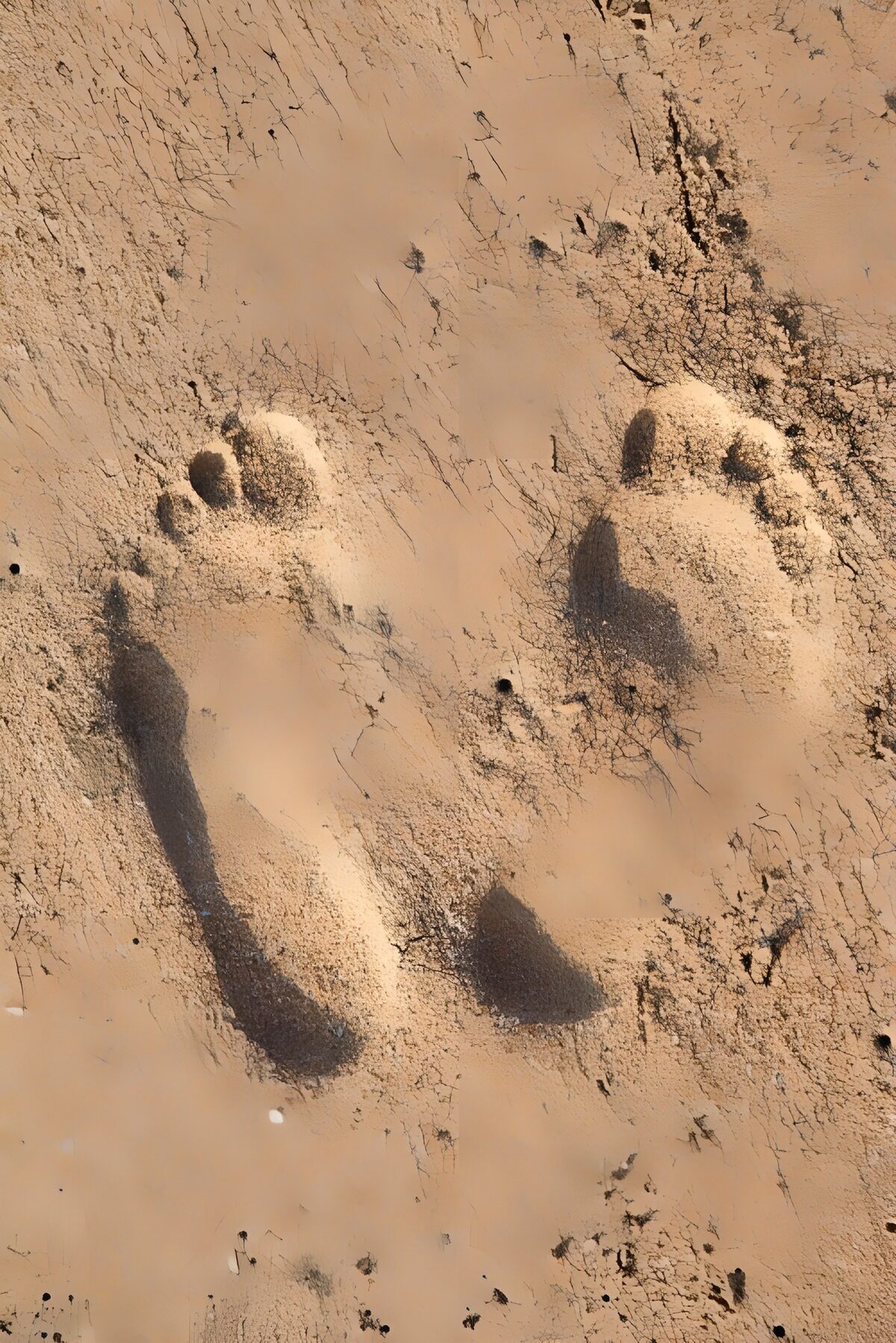 Zwei Fußabdrücke im ockerfarbenen Sand