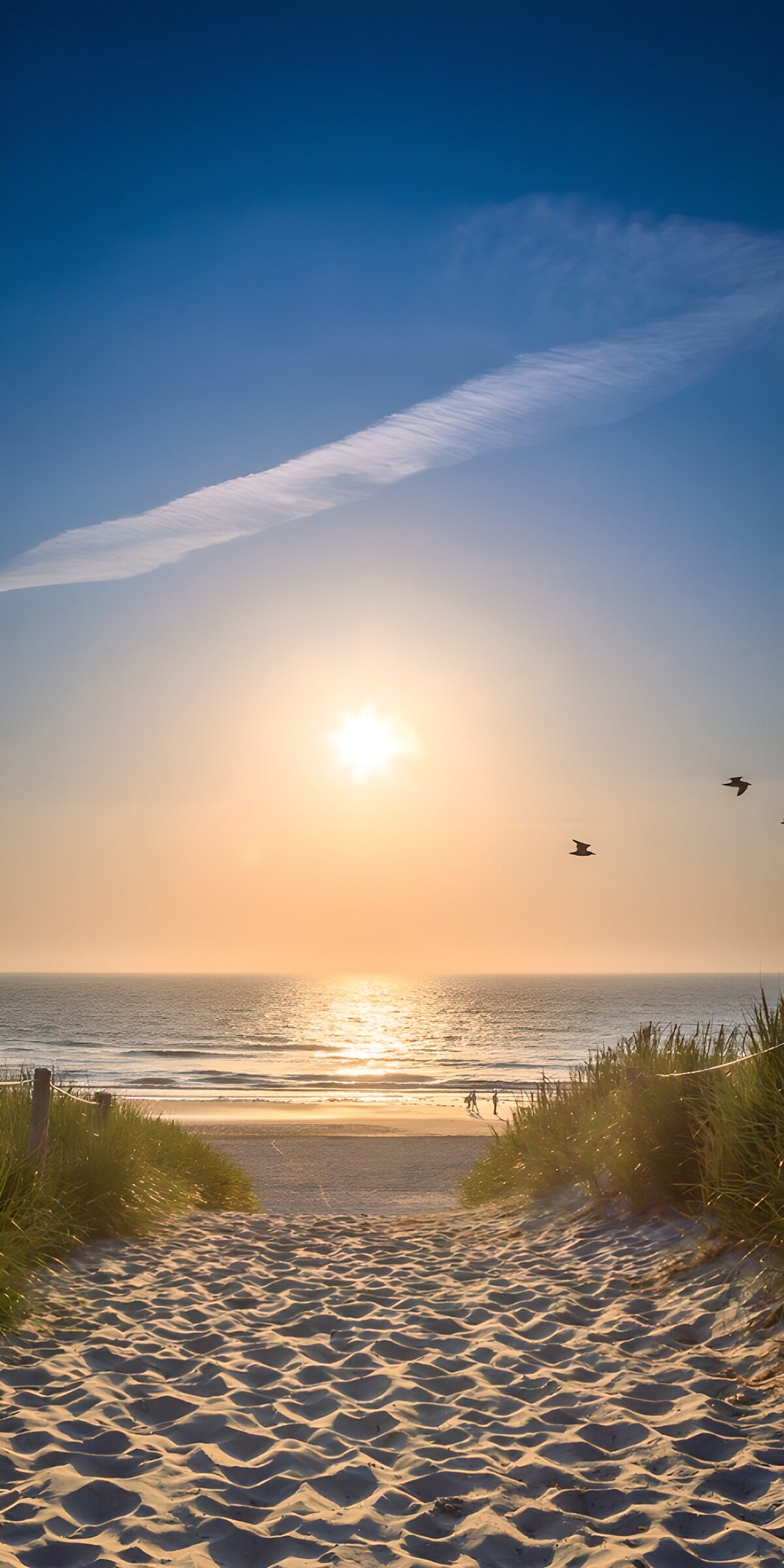 Dünenweg zum Meer im Abendlicht