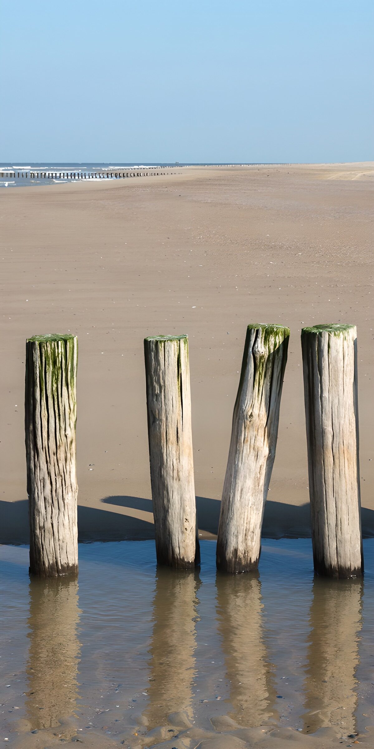 Vier Holzpfähle am weiten Strand