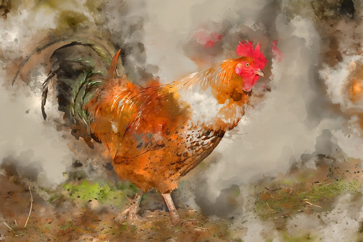 Rostbrauner Hahn in lockerem Aquarell