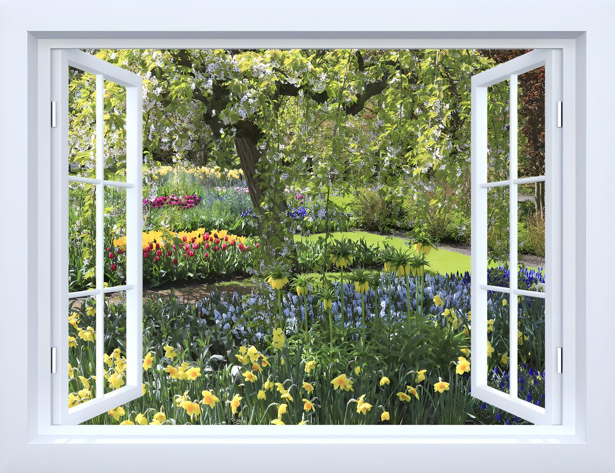 Fensterblick auf Narzissen und Tulpen