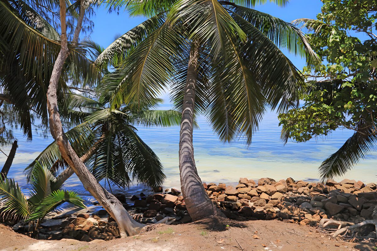 Palmen und Felsen am türkisblauen Meer