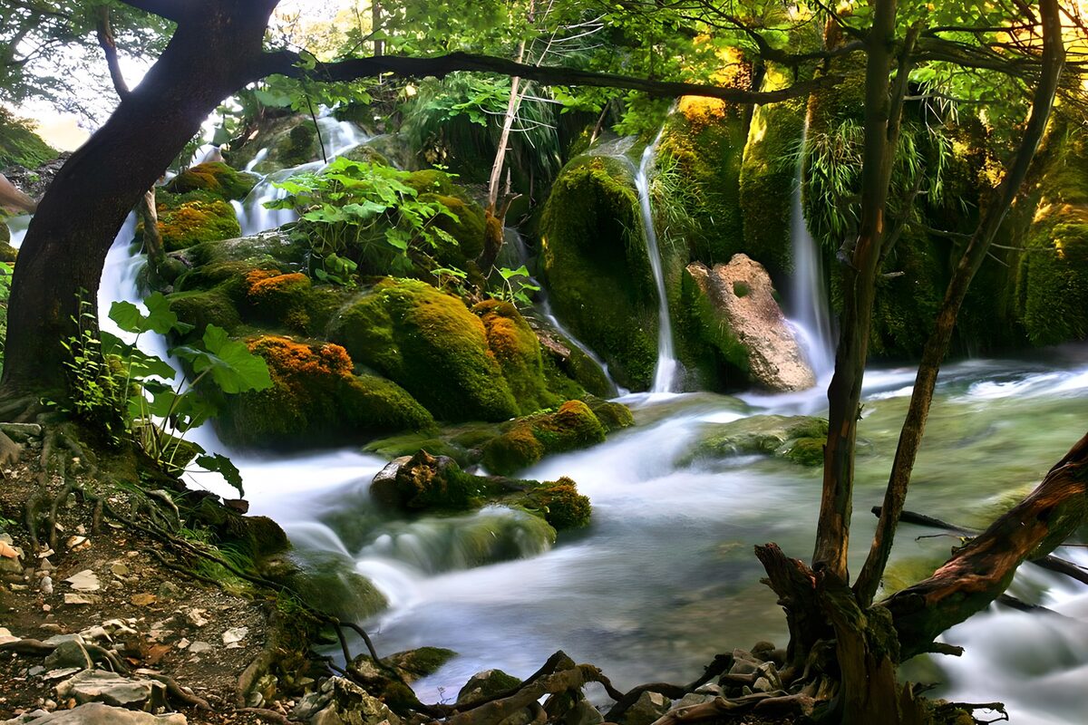 Waldkaskaden zwischen moosgrünen Felsen