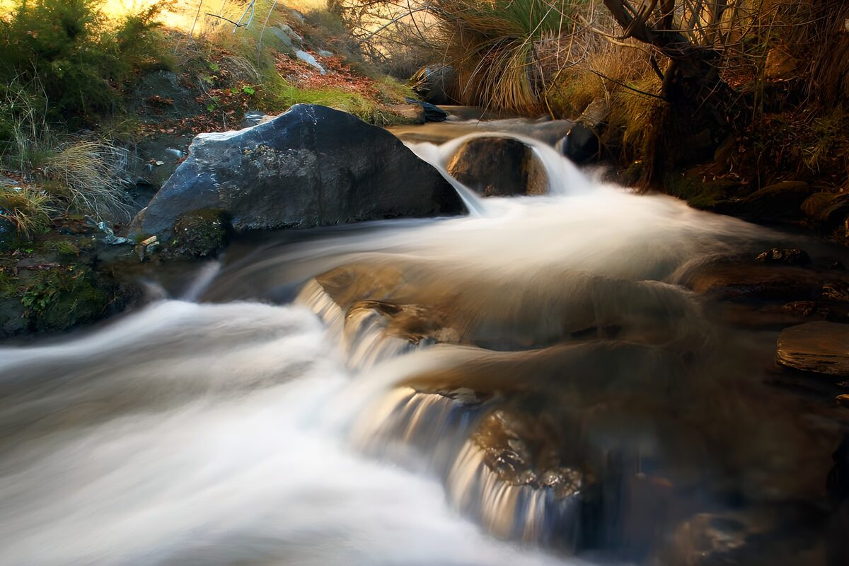 Weiße Wasserbänder im goldenen Waldlicht