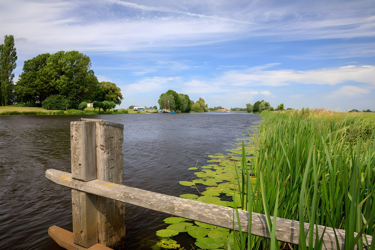 Sommer am Wasser mit Holzzaun und Schilf