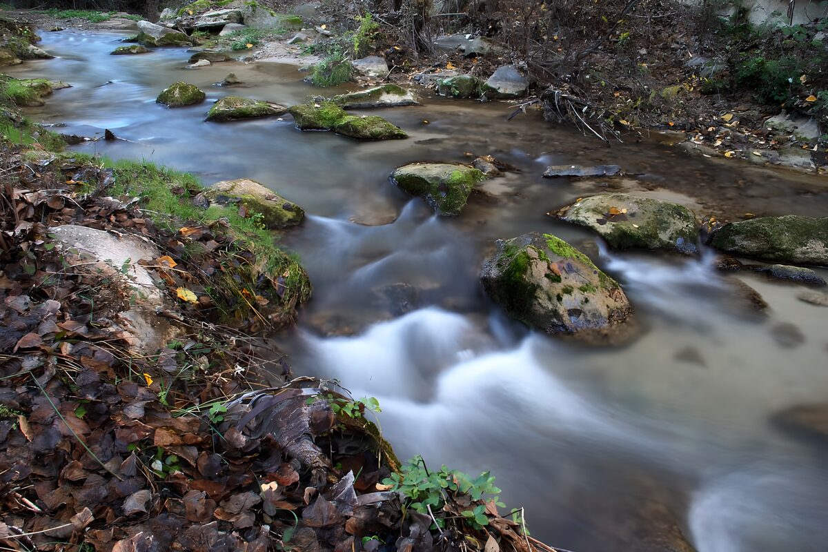 Waldbach zwischen Felsen und Laub