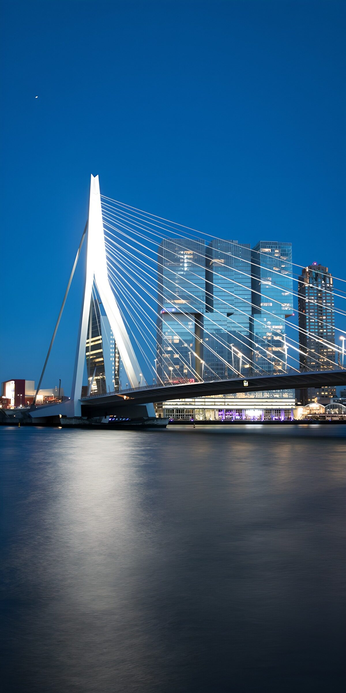 Weiße Seile im Rotterdamer Abendblau