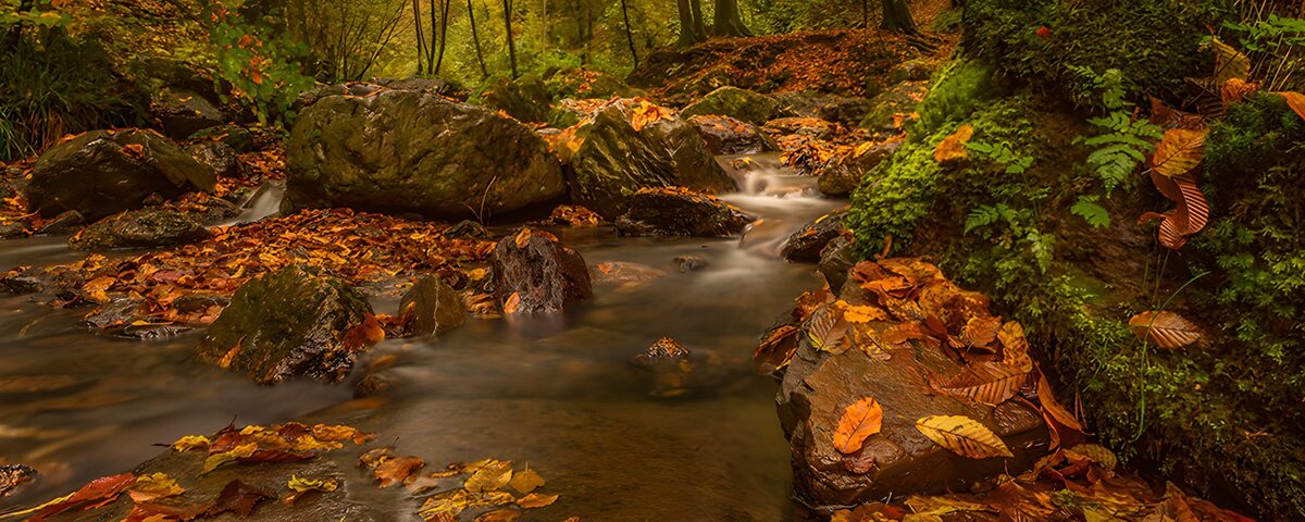 Waldbach zwischen Felsen im Herbst