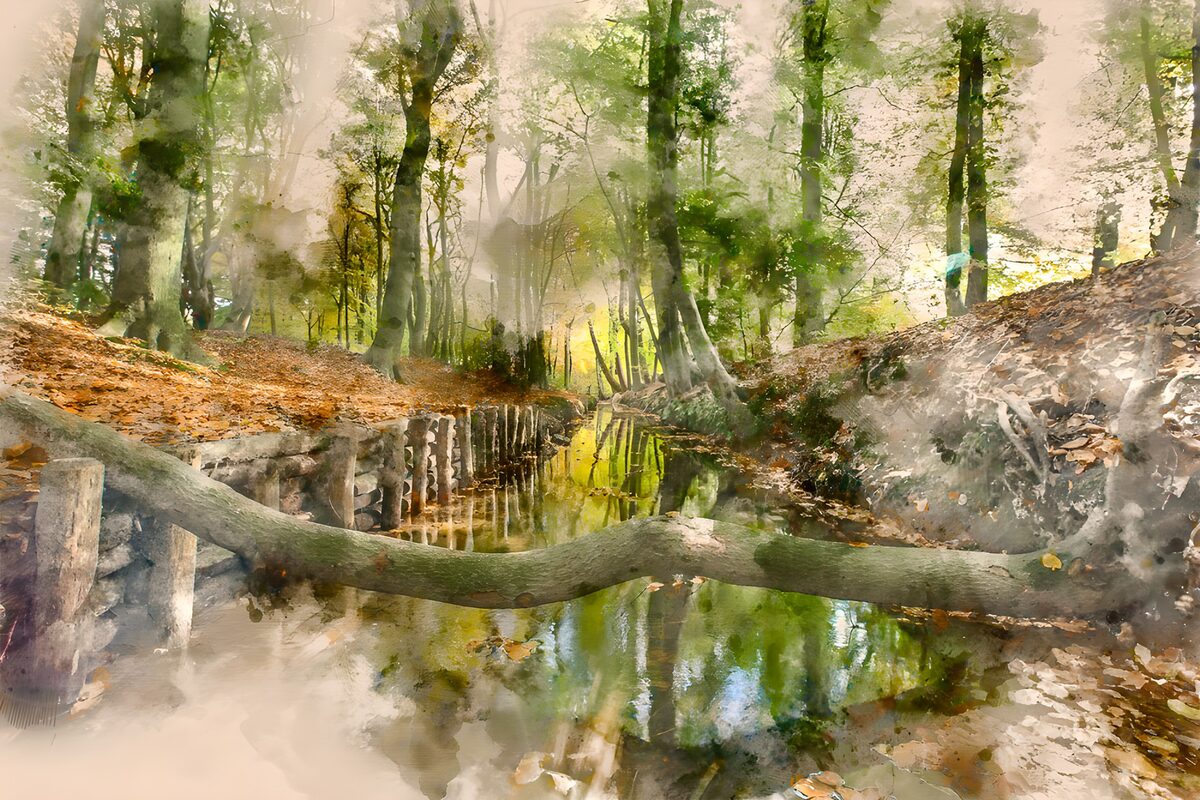Baumstamm über stillem Waldbach