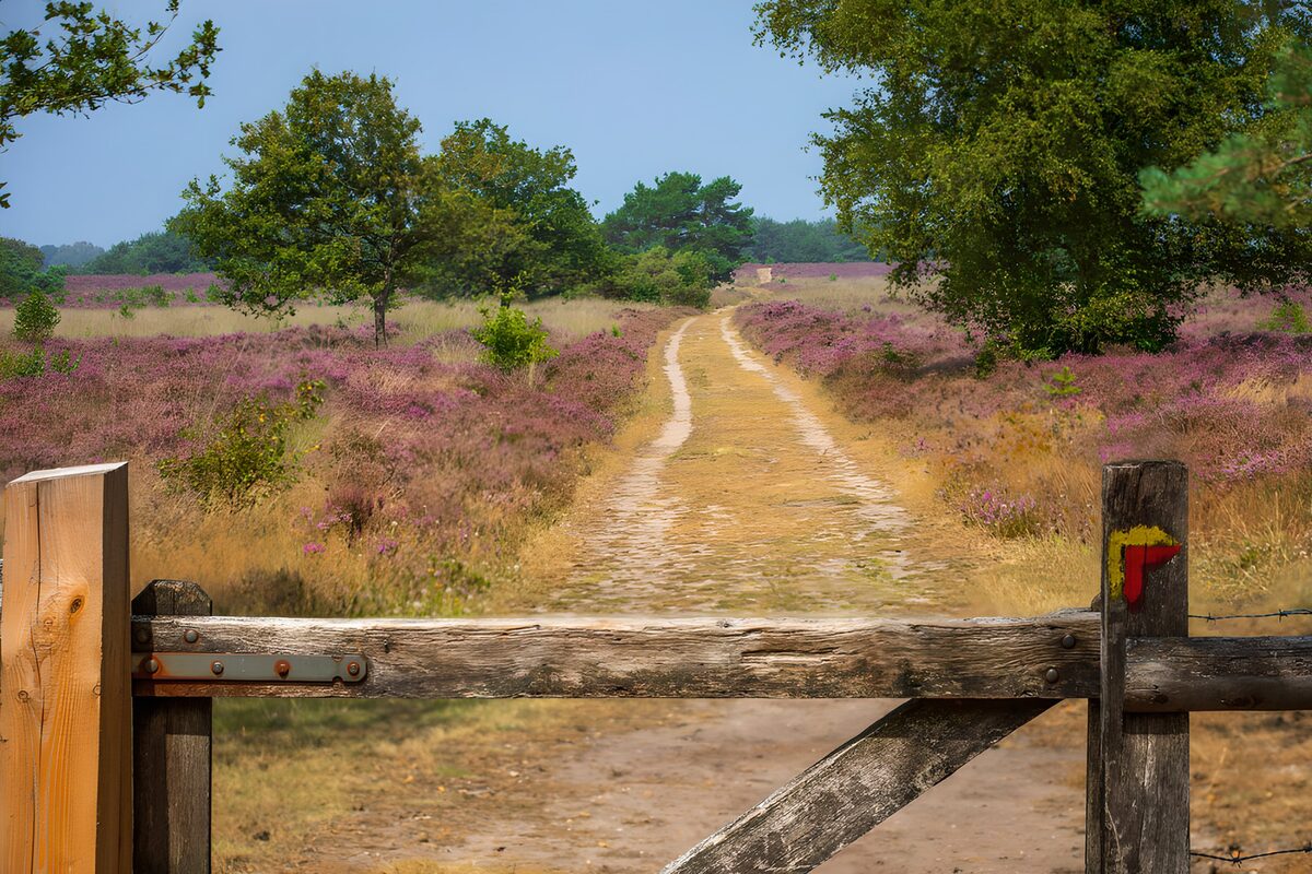 Holztor am sonnigen Sandweg durch die Heide