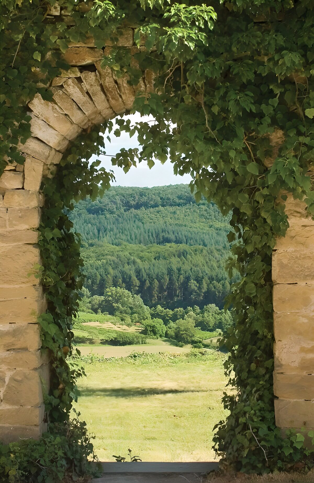 Alter Steinbogen mit weitem Wiesenblick
