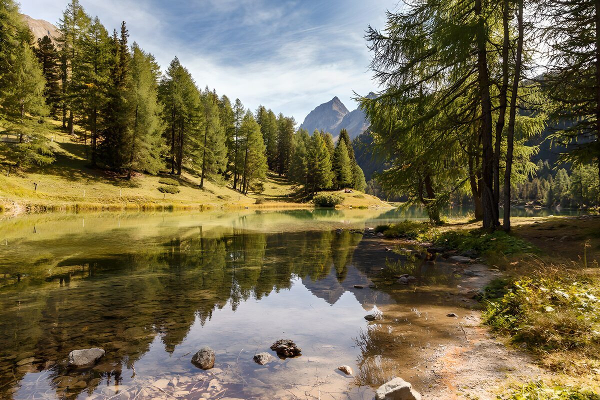 Klarer Bergsee im Schatten der Nadelbäume