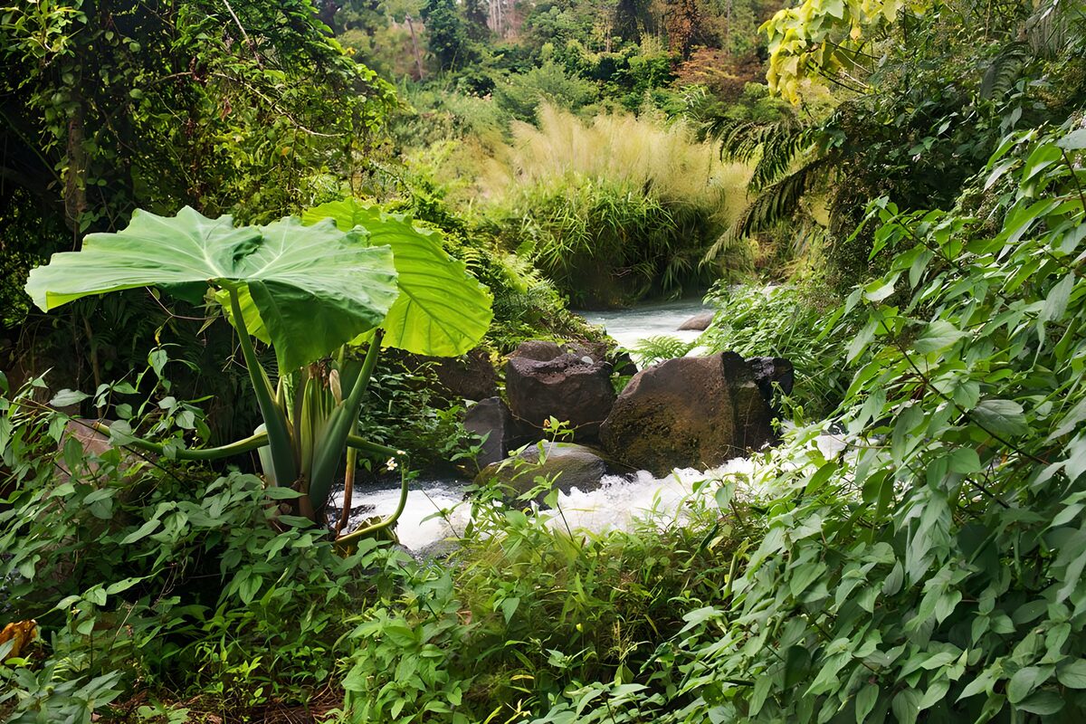 Schäumender Bach zwischen dunklen Felsen