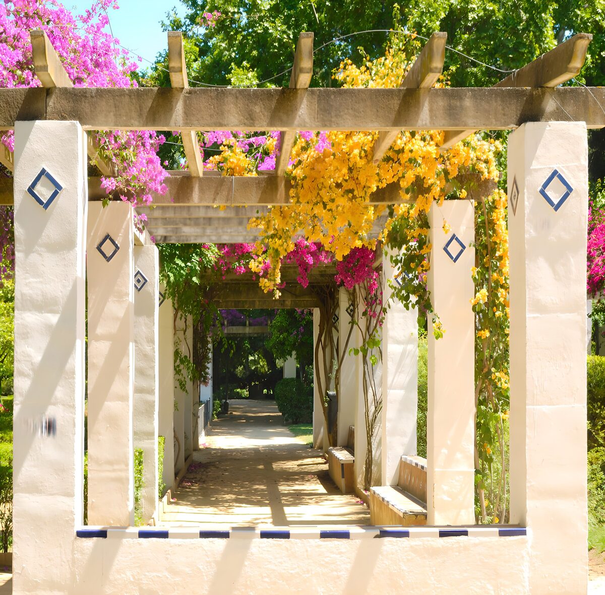 Sonniger Gartenweg mit Blütenpergola