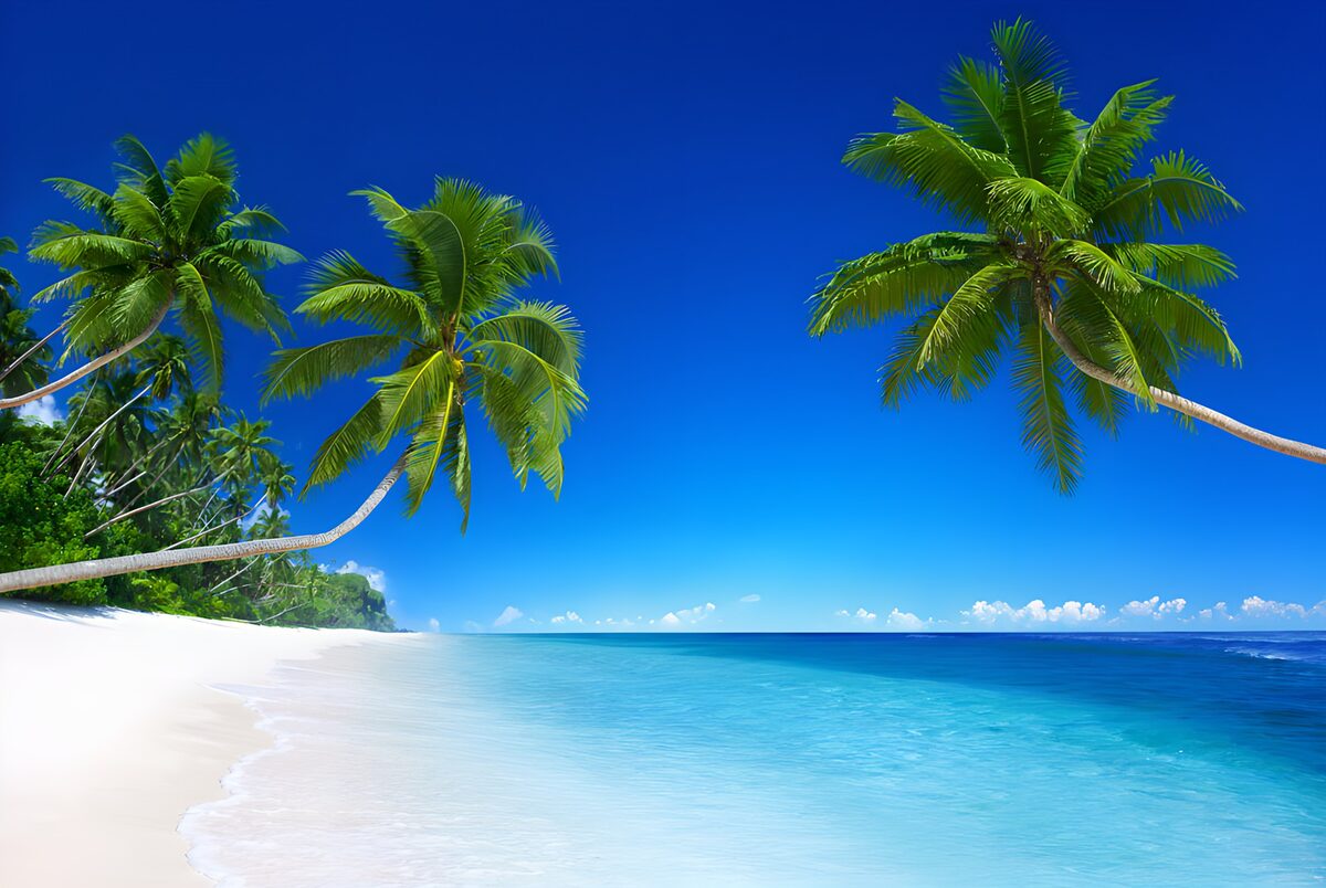 Hier machen selbst die Palmen Urlaub