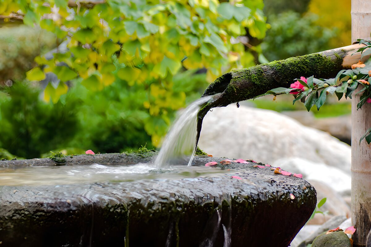 Steinbrunnen mit Moos und zartrosa Blüten