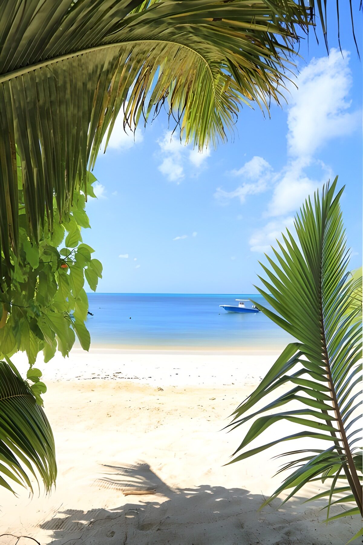 Palmen, Strand und ein Boot im Urlaubsmodus