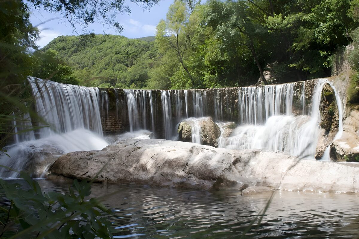 Breiter Wasserfall im grünen Wald