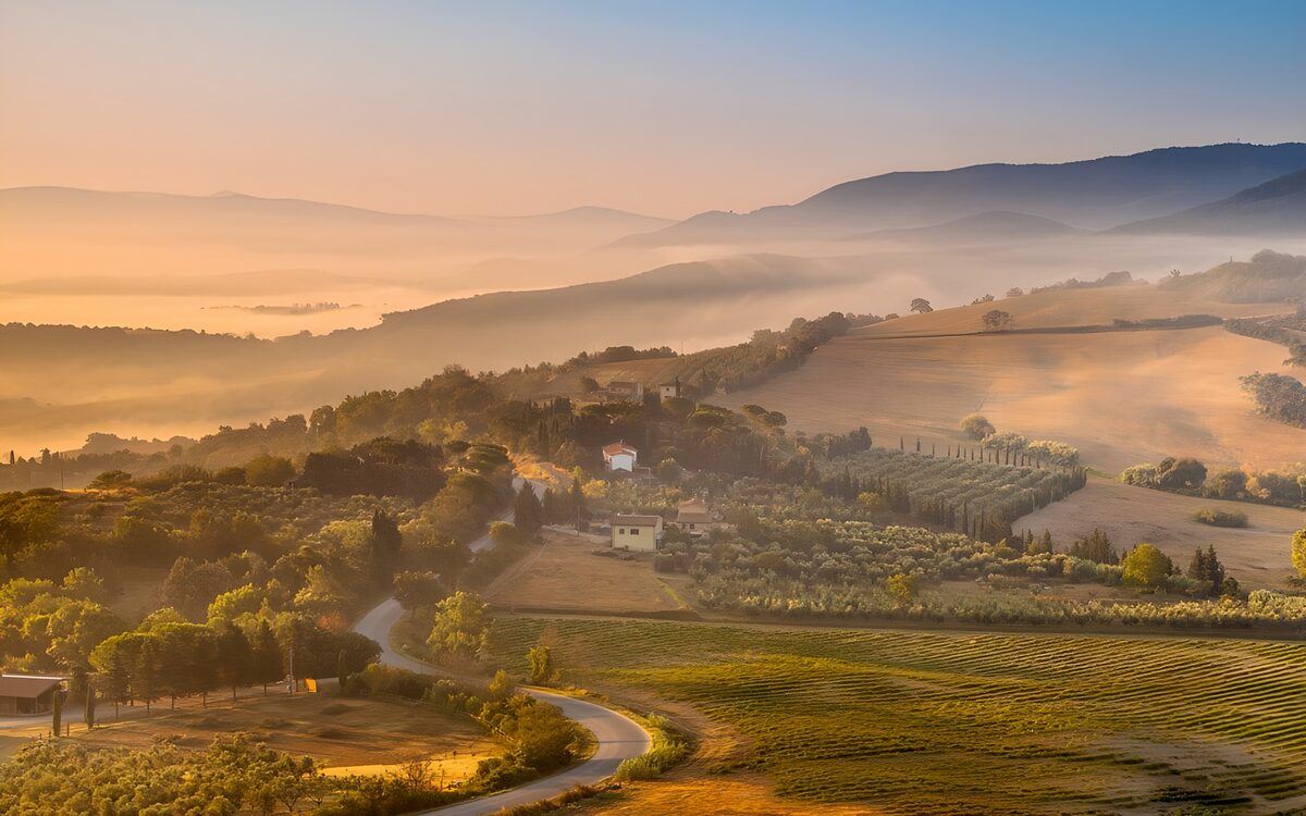Hügelland mit Morgennebel und Landstraße