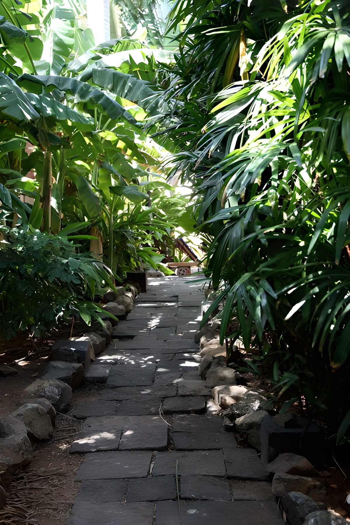 Steinweg durch üppiges Tropengrün