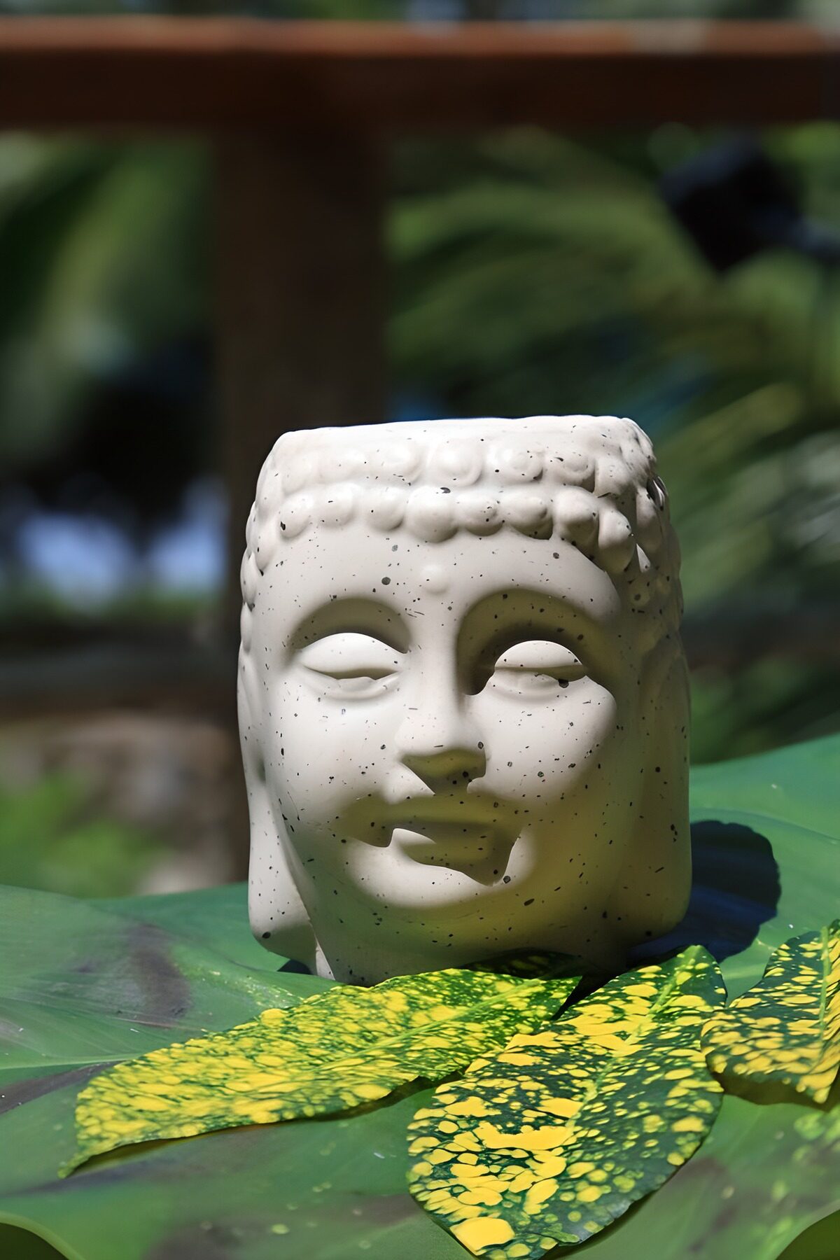Weißer Buddhakopf im Blättergrün
