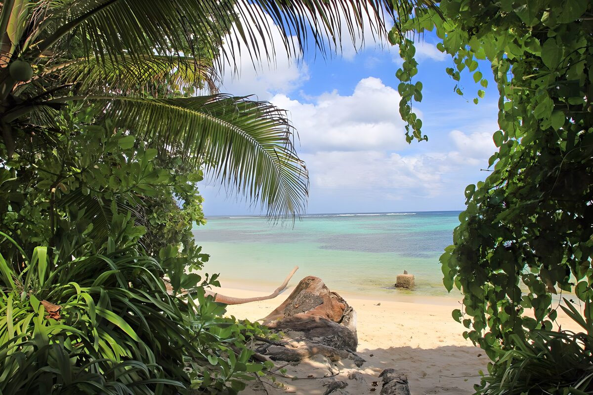 Tropenstrand mit Palmen und türkisblauem Meer