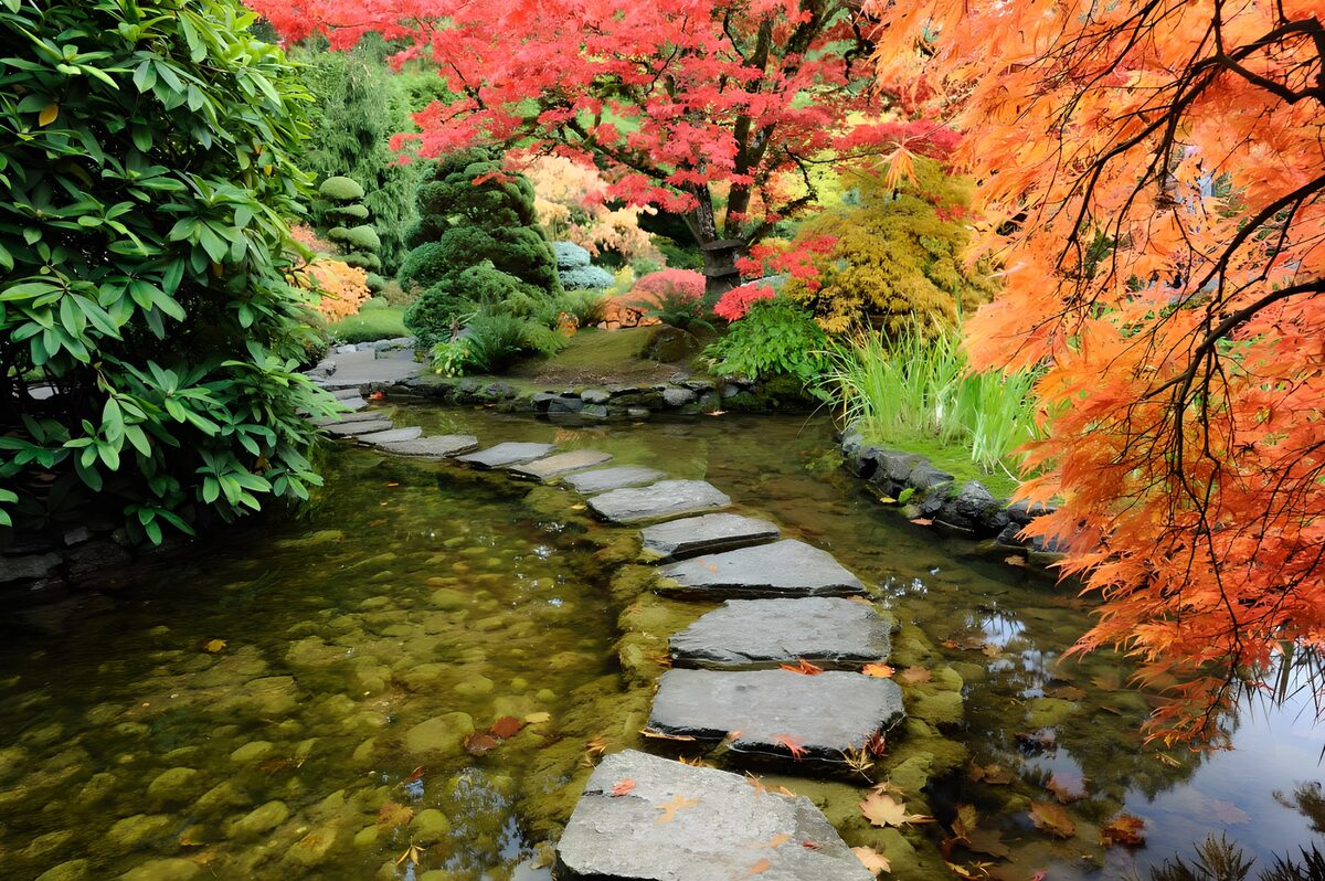 Trittsteine im herbstlichen Japangarten