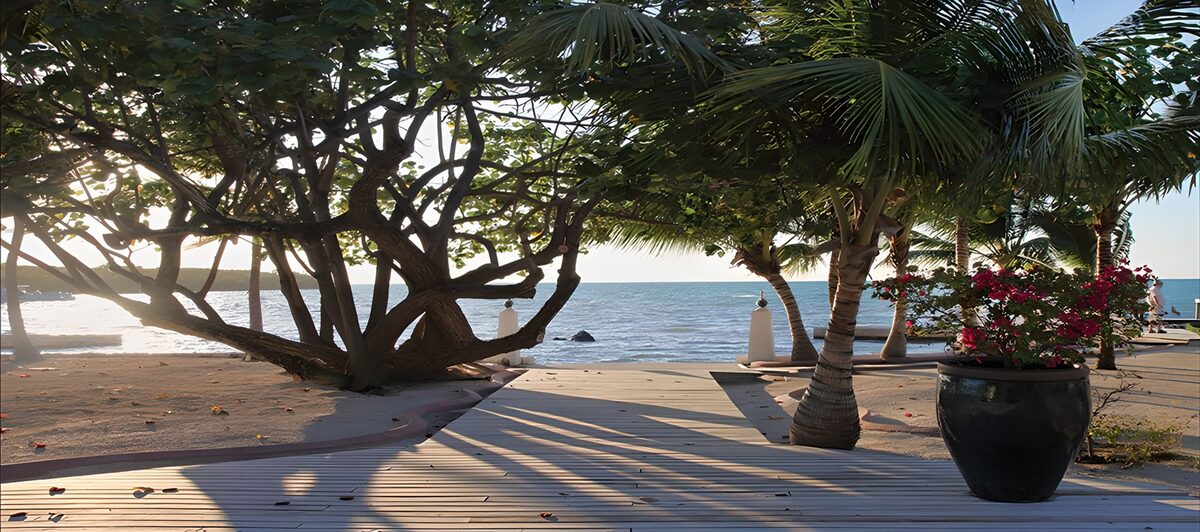 Holzsteg unter Palmen am Meer