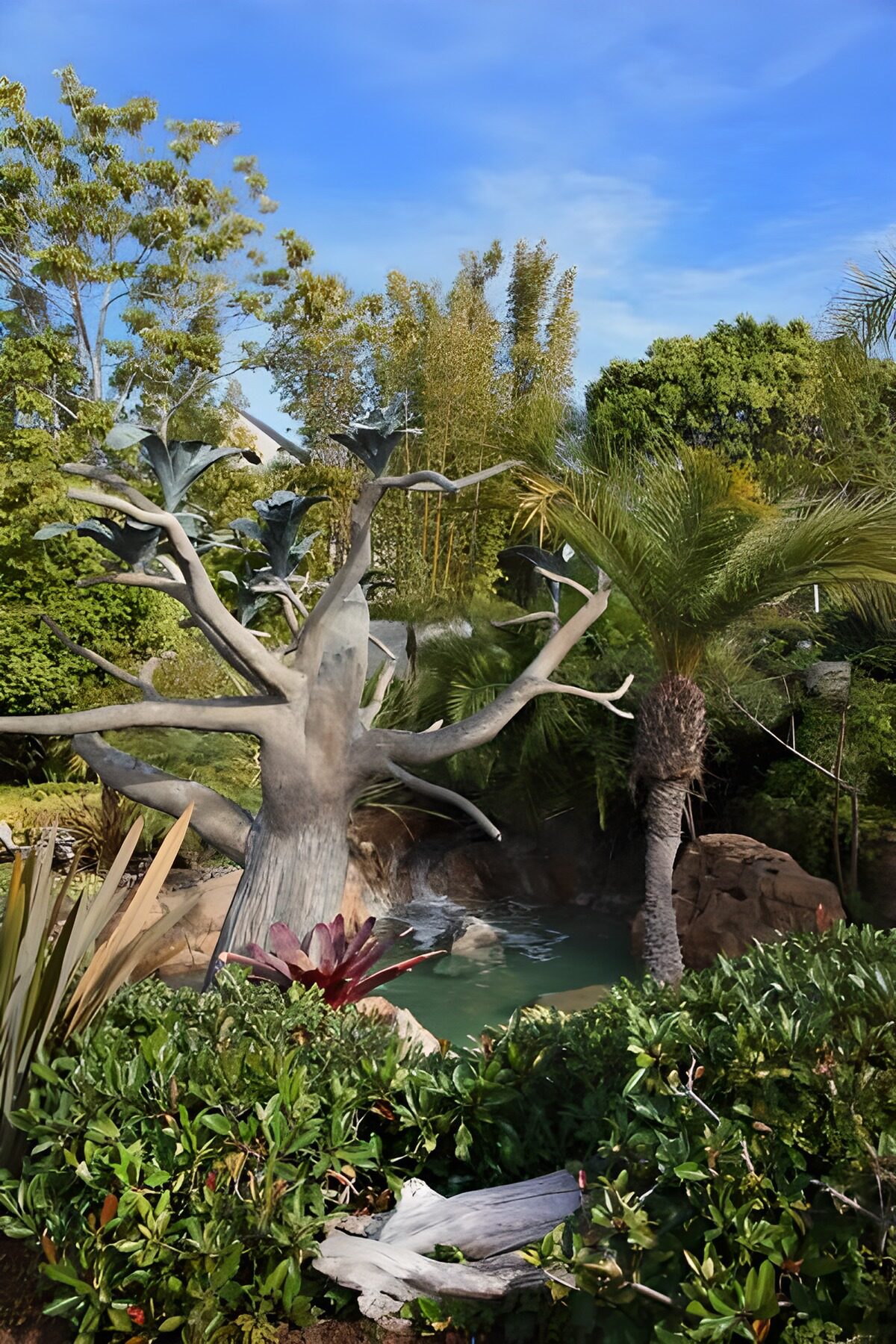 Üppiger Garten mit hellem Baum und Teich
