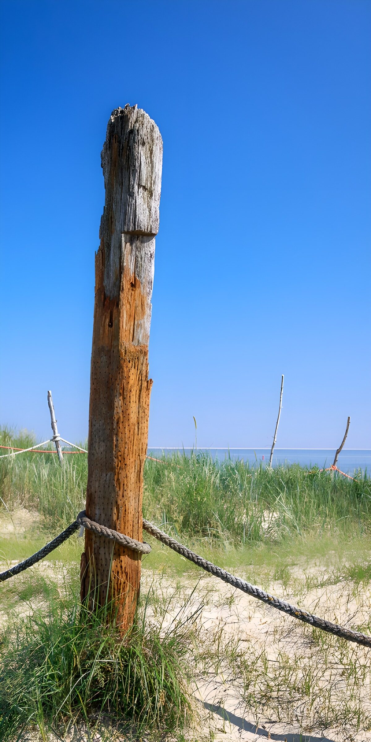 Holzpfahl und Seil in sonnigen Dünen
