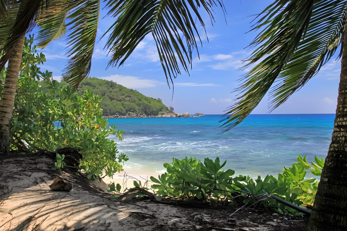 Palmenstrand mit Blick aufs türkisblaue Meer