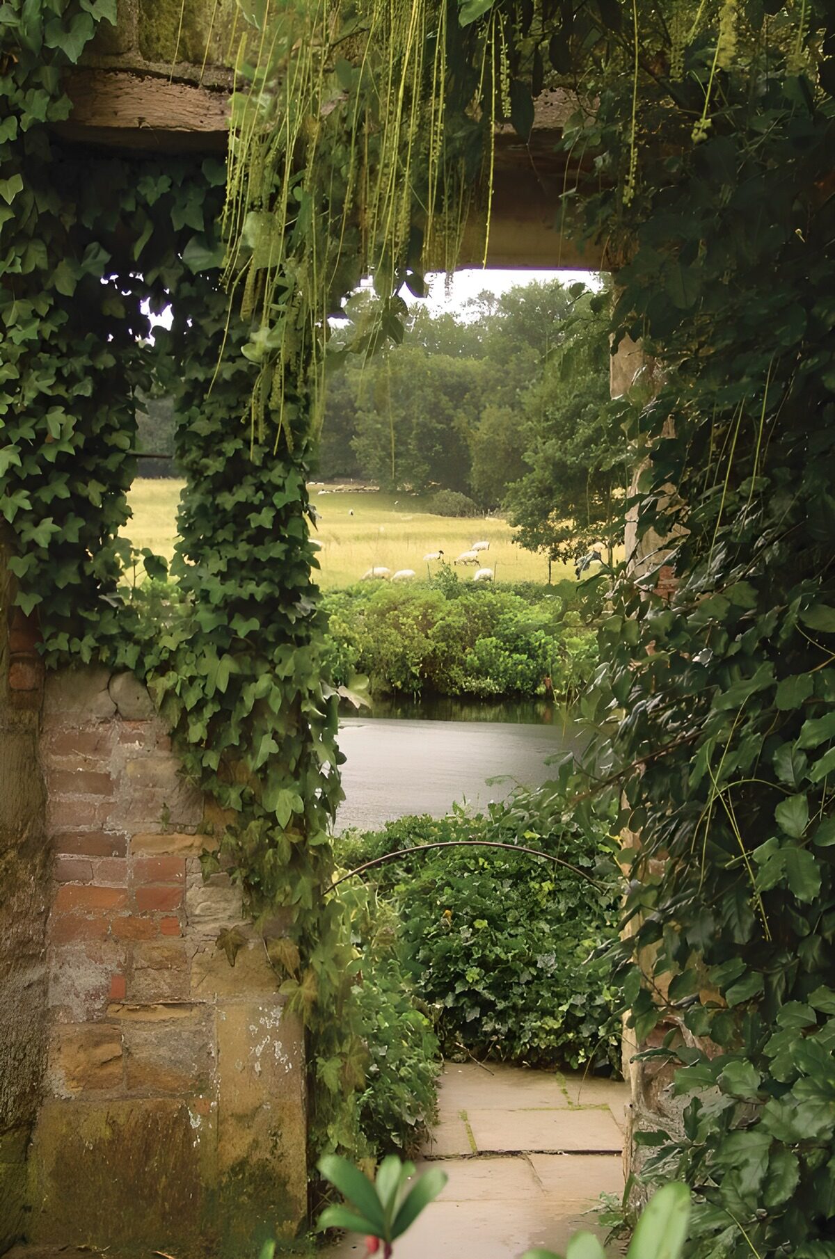 Efeubogen mit Blick auf die Schafweide