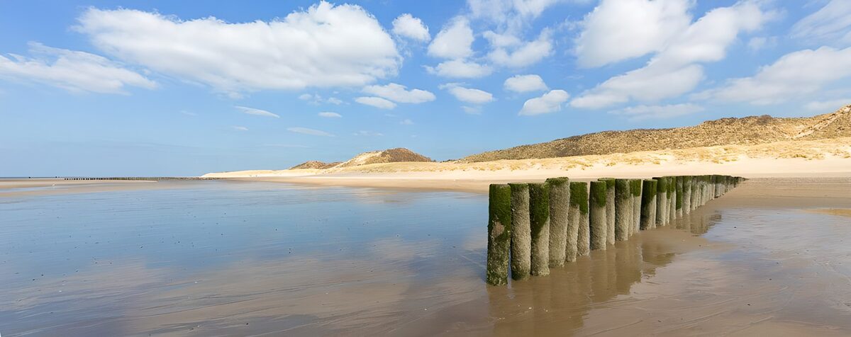 Holzpfähle am weiten Strand bei Ebbe