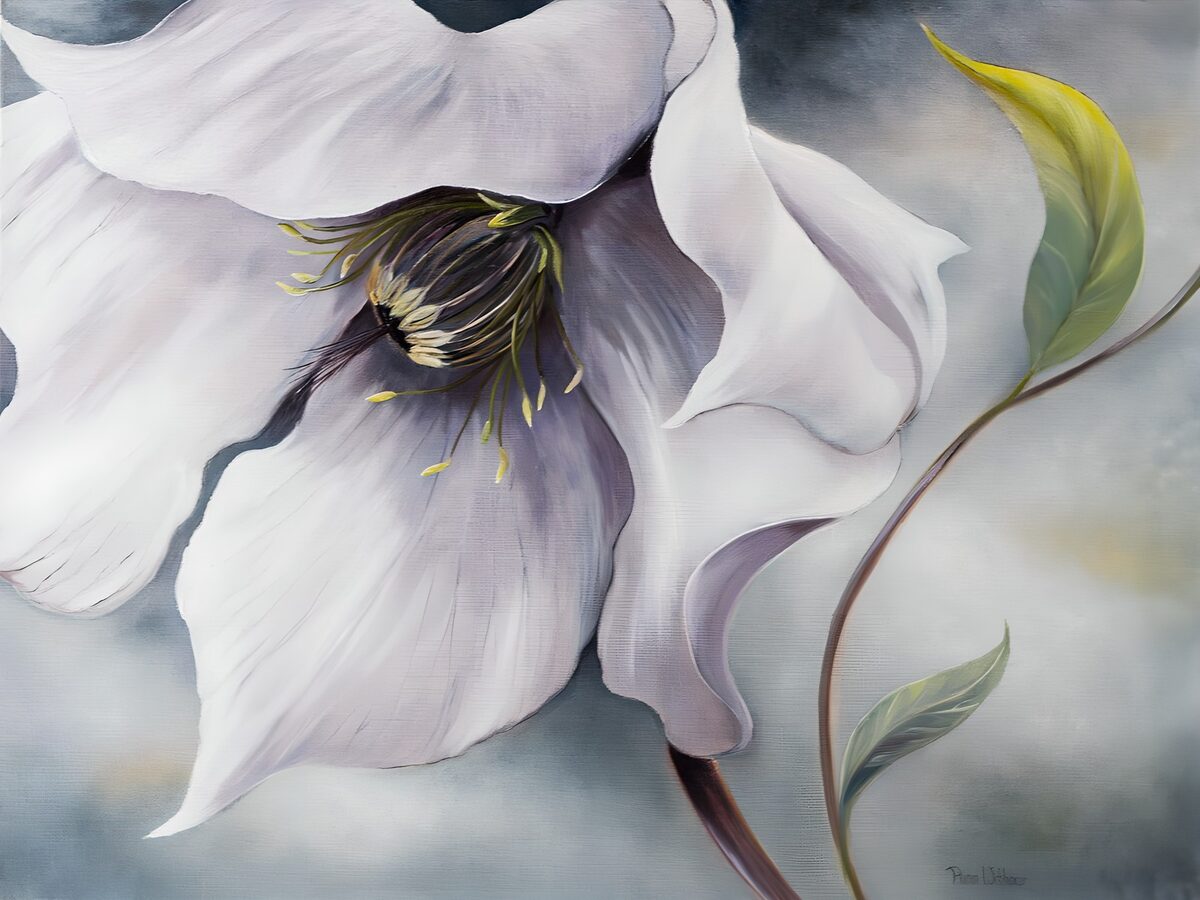 Weiße Blüte mit dunklem Herzen