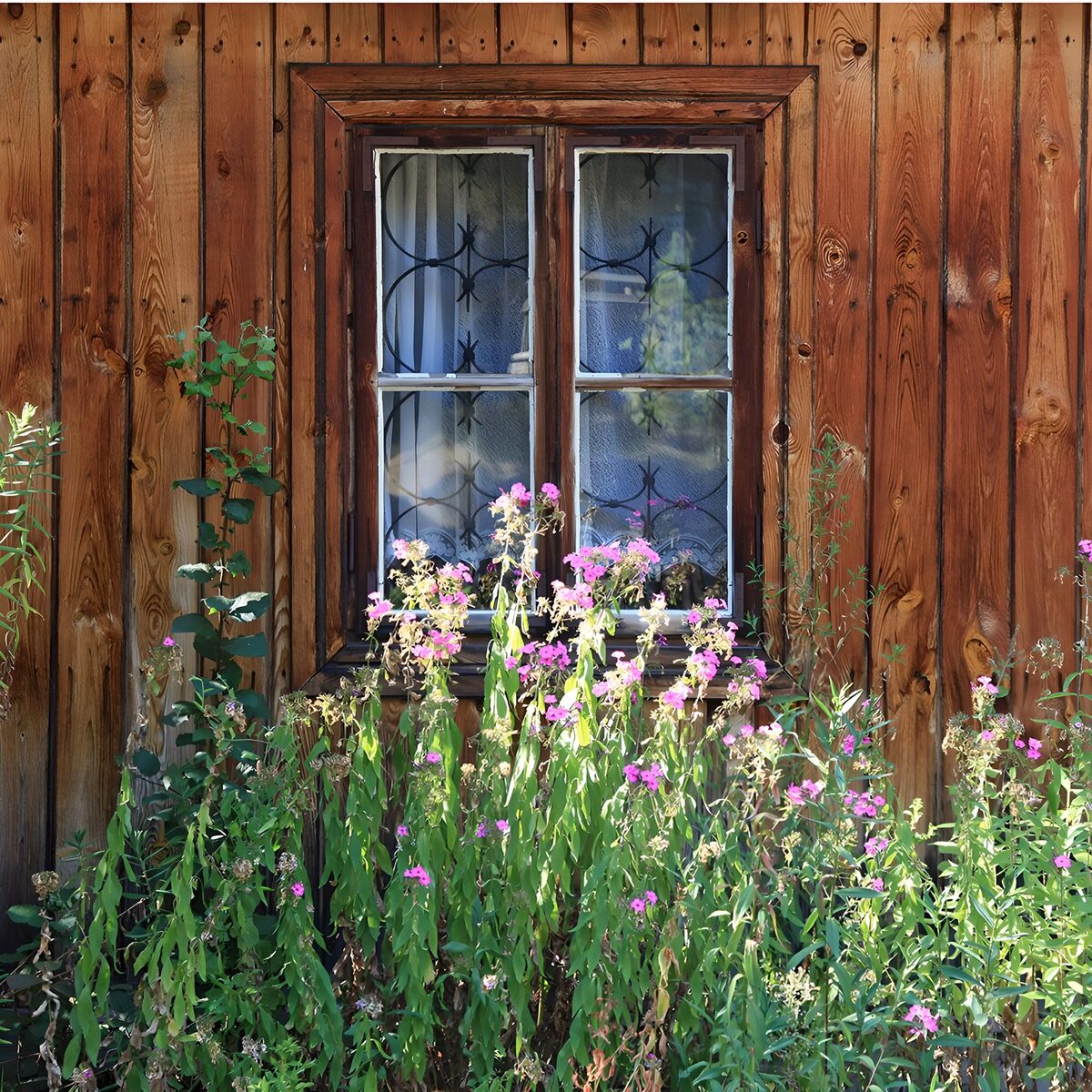 Rustikales Holzfenster mit rosa Blumen