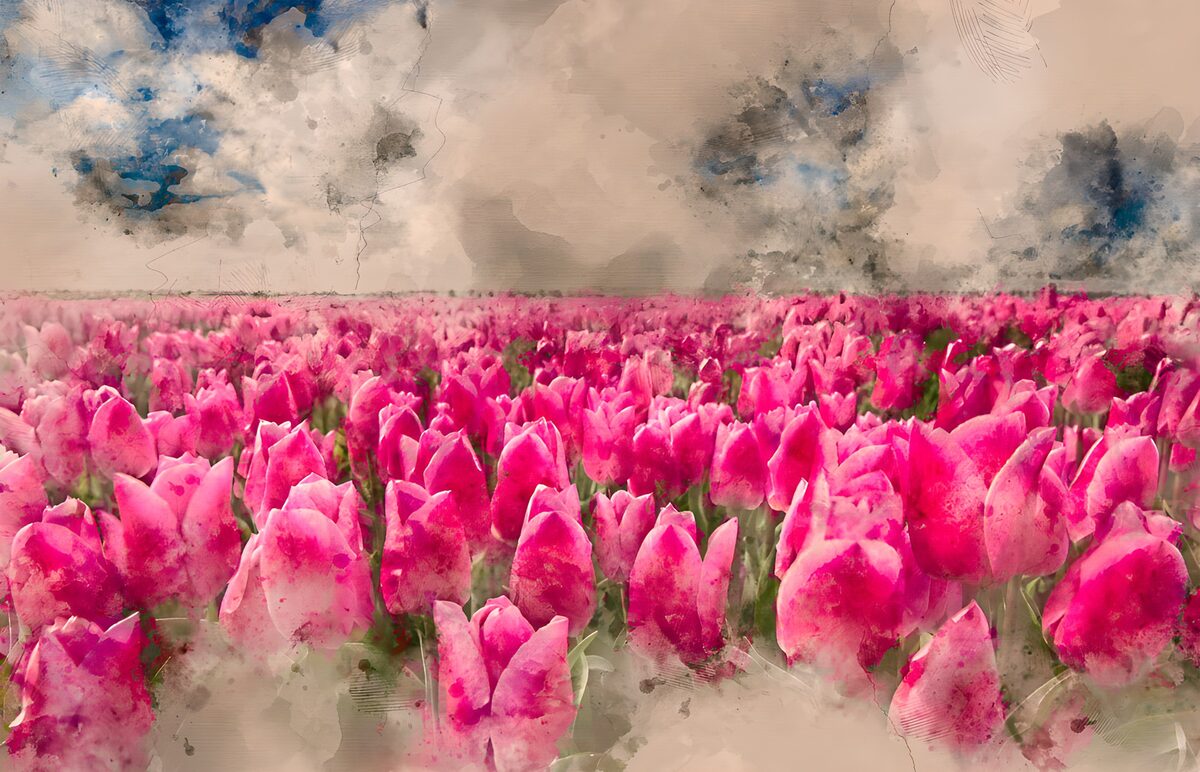 Gemaltes Tulpenfeld in leuchtendem Pink