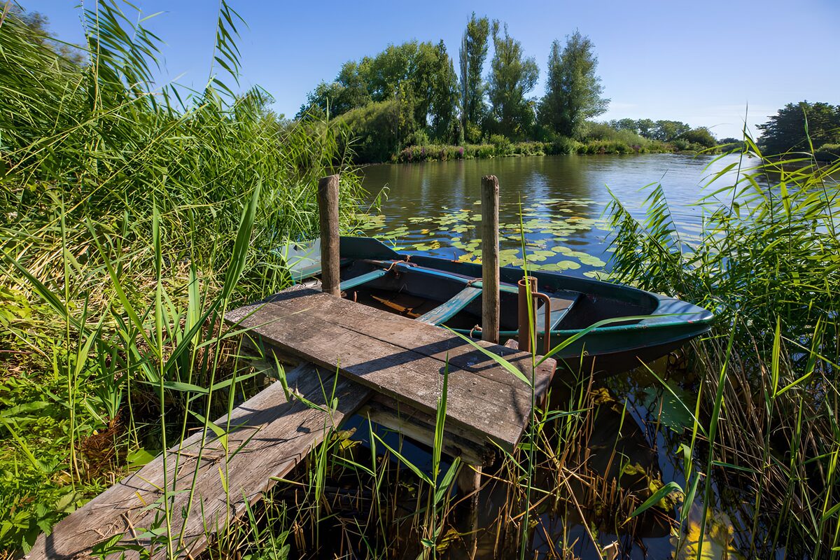 Grüne Ruderboote am Holzsteg im Schilf