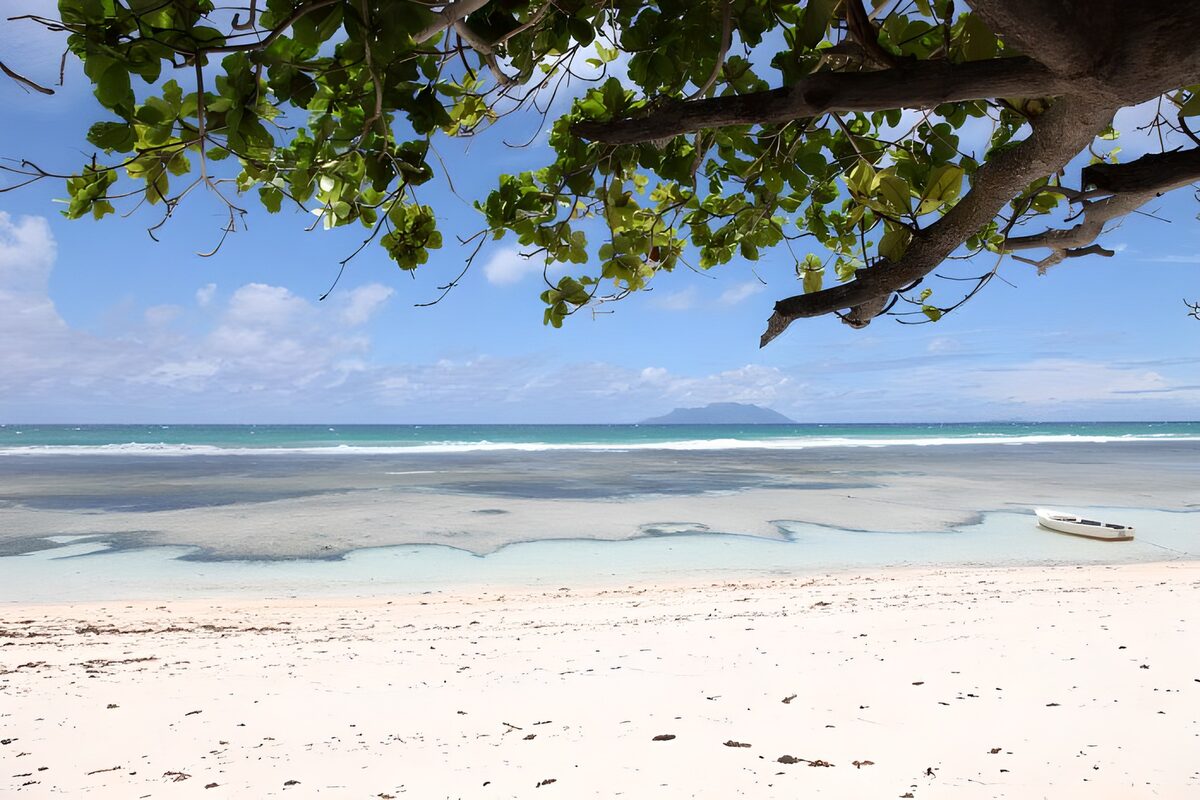 Tropenstrand im Schatten eines Baums